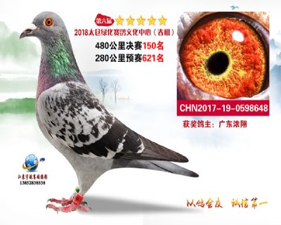 太仓绿化决赛150名