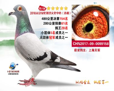 太仓绿化决赛154名