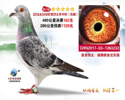 太仓绿化决赛162名