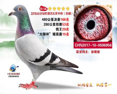 太仓绿化决赛166名