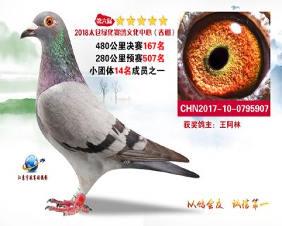 太仓绿化决赛167名