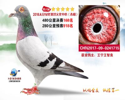 太仓绿化决赛168名