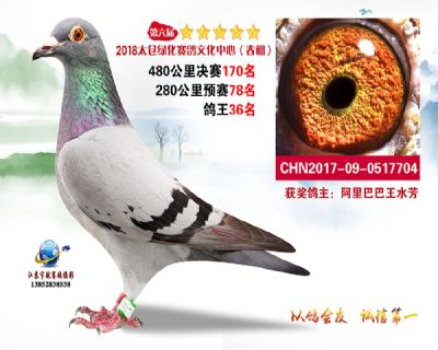 太仓绿化决赛170名