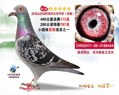 太仓绿化决赛173名