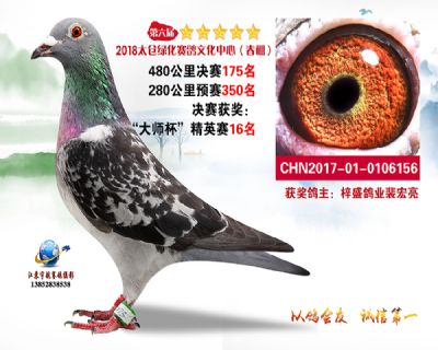 太仓绿化决赛175名