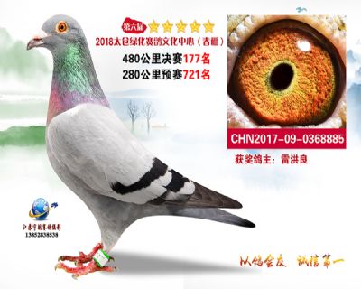 太仓绿化决赛177名