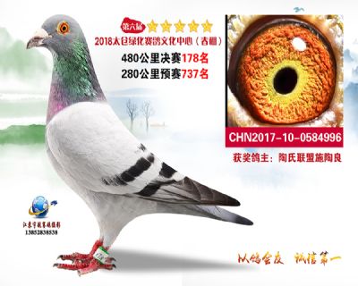 太仓绿化决赛178名