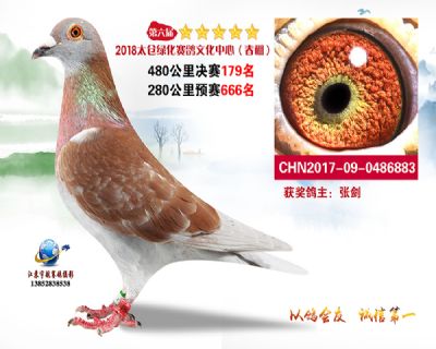 太仓绿化决赛179名