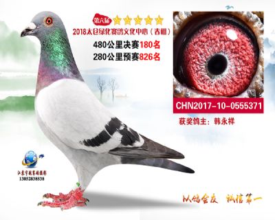 太仓绿化决赛180名