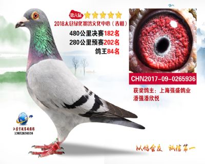 太仓绿化决赛182名