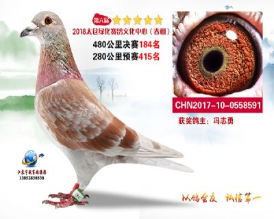 太仓绿化决赛184名