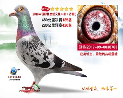 太仓绿化决赛185名