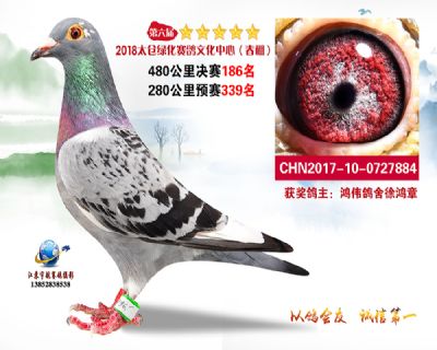 太仓绿化决赛186名