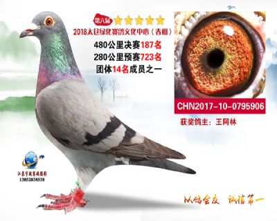 太仓绿化决赛187名