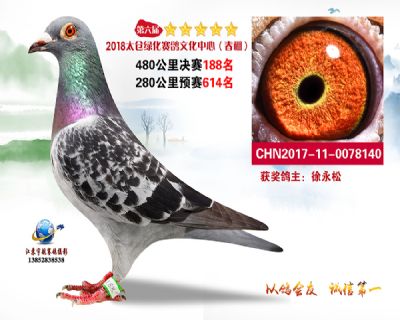 太仓绿化决赛188名
