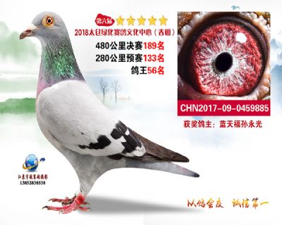太仓绿化决赛189名