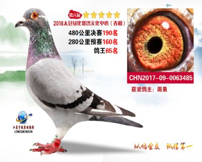 太仓绿化决赛190名