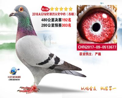 太仓绿化决赛192名