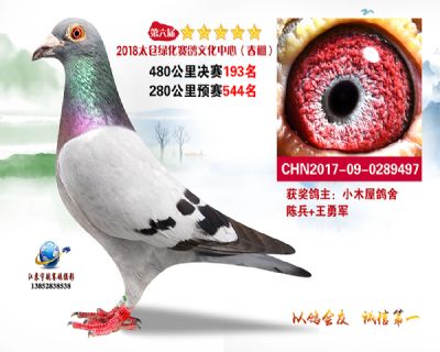 太仓绿化决赛193名
