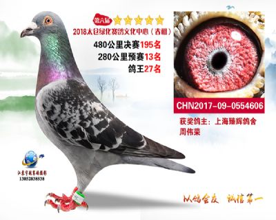 太仓绿化决赛195名