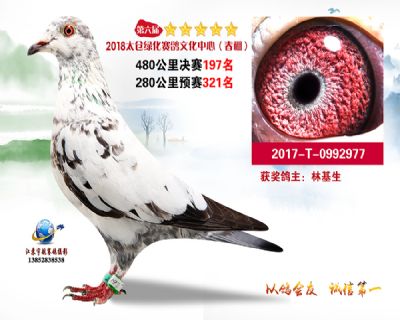 太仓绿化决赛197名