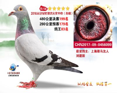 太仓绿化决赛199名