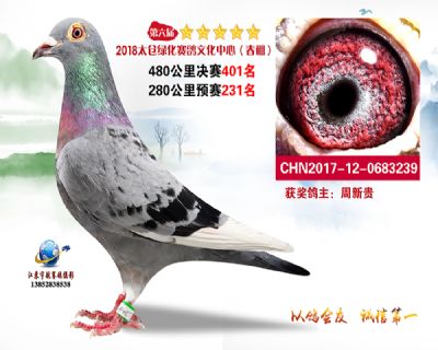 太仓绿化决赛401名