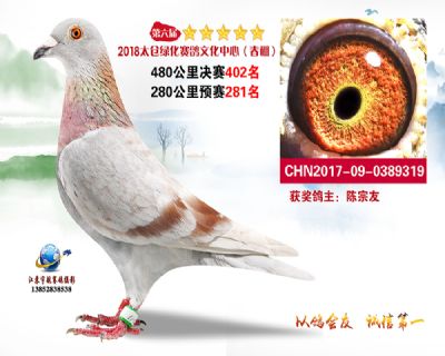 太仓绿化决赛402名