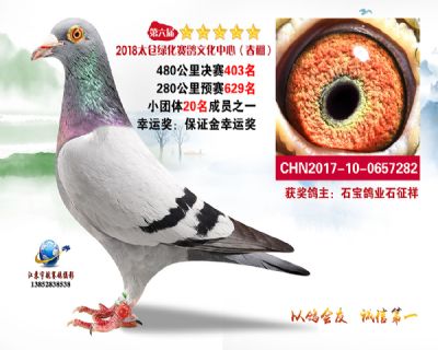 太仓绿化决赛403名