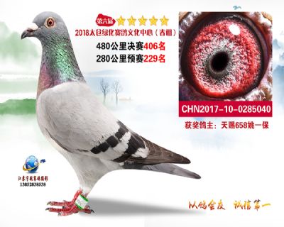 太仓绿化决赛406名