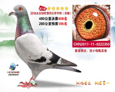 太仓绿化决赛408名