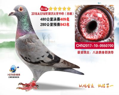 太仓绿化决赛409名