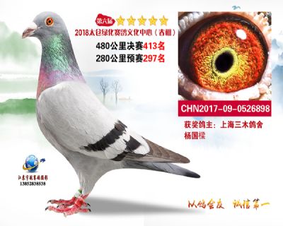 太仓绿化决赛413名
