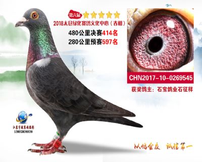 太仓绿化决赛414名