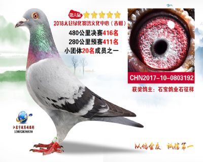 太仓绿化决赛416名