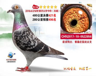 太仓绿化决赛421名