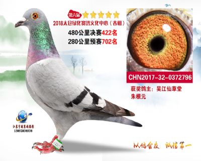 太仓绿化决赛422名