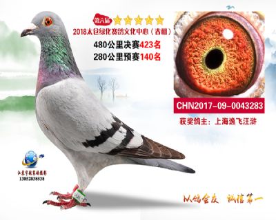 太仓绿化决赛423名