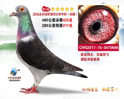 太仓绿化决赛425名