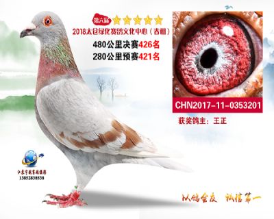 太仓绿化决赛426名