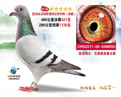 太仓绿化决赛427名