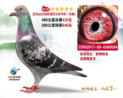 太仓绿化决赛429名