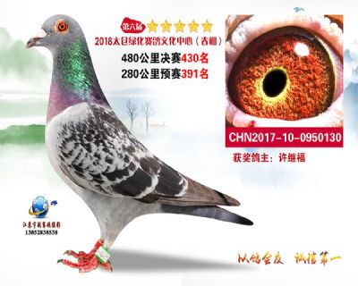 太仓绿化决赛430名