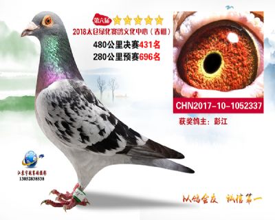 太仓绿化决赛431名