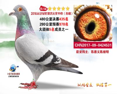 太仓绿化决赛435名