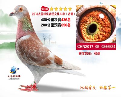 太仓绿化决赛436名