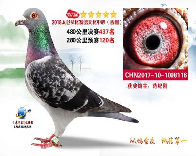 太仓绿化决赛437名