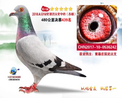 太仓绿化决赛439名