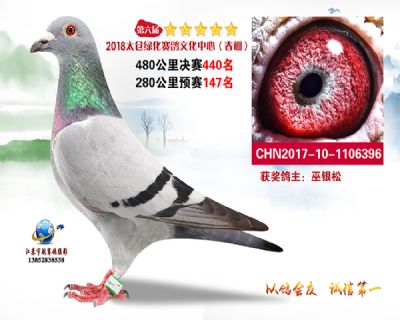 太仓绿化决赛440名
