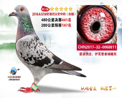 太仓绿化决赛441名